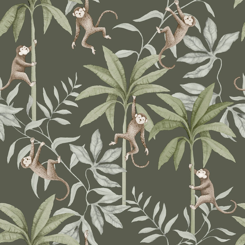 Newbie - Jungle Friends