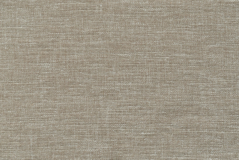 Audinys, Premiere, taupe
