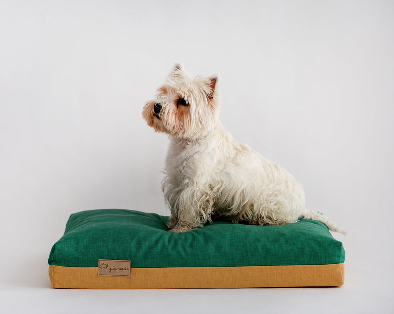 It is a West Highland White Terrier laying on a dog bed brand ‘slapia nosis’ wetnosedog. Šuns guolis ‘šlapia nosis’ ir šuo gulintis ant jo